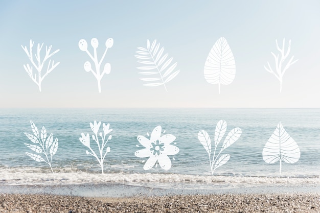 Coleção de design de folhas e paisagem à beira-mar