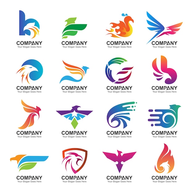 Coleção de design de logotipo de águia colorida