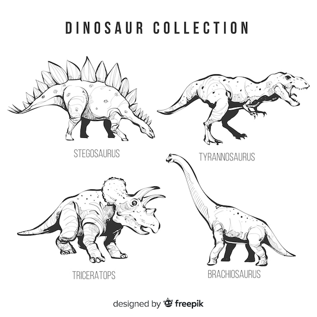 Coleção de dinossauro realista mão desenhada