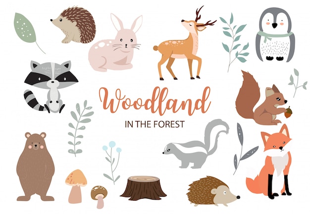 Coleção de elementos bonitos da floresta com urso, coelho, raposa, gambá, cogumelo e folhas