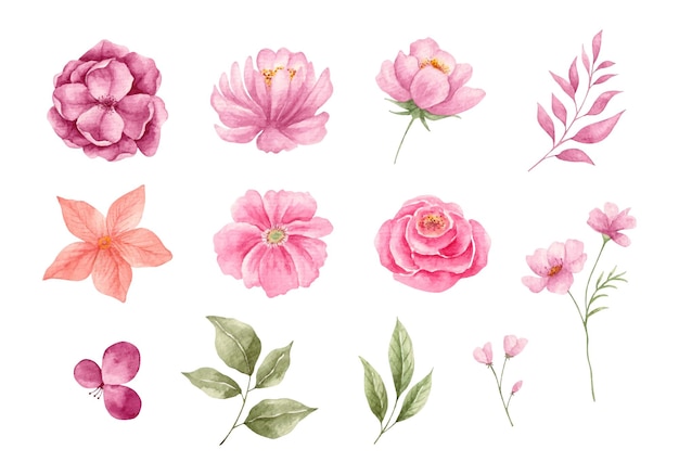 coleção de elementos botânicos desenhados à mão em aquarela