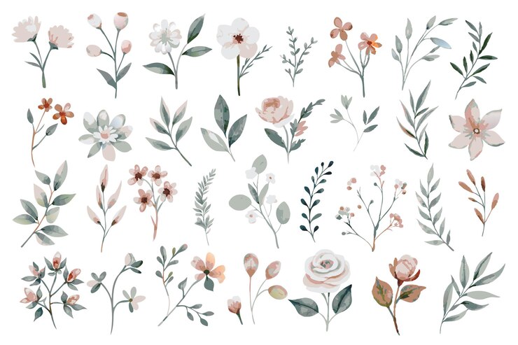 Vetor coleção de elementos de aquarela floral selvagem