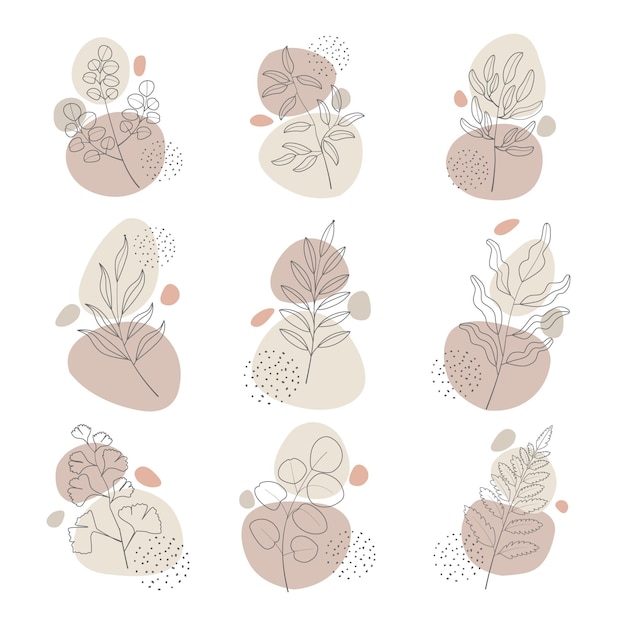 Coleção de elementos de decoração de plantas de estilo boho