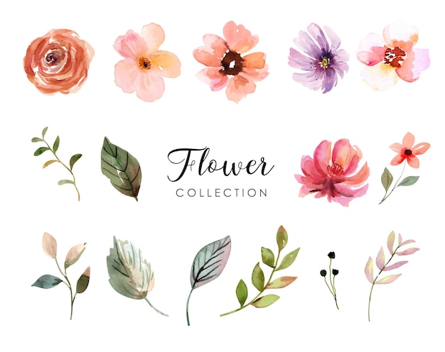 Vetor coleção de elementos de flores em aquarela