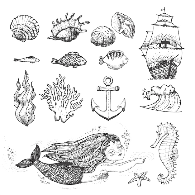 coleção de elementos do mar bonito