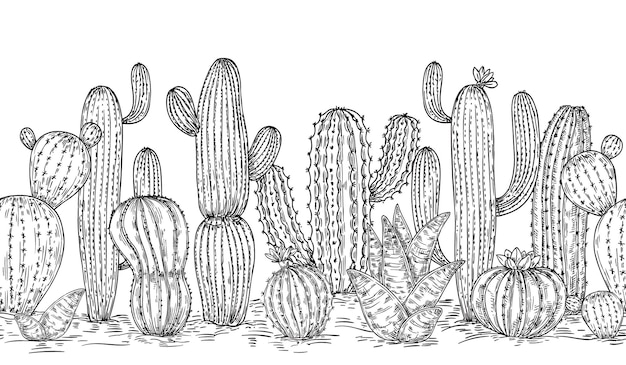 Coleção de esboços de cactos desenho de cacto tinta suculenta design botânico gravação de plantas do deserto preto lápis elementos vetoriais neotéricos florais