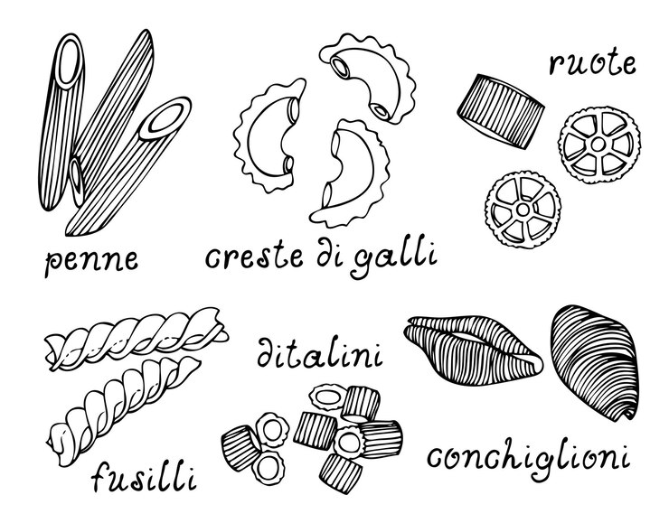 Vetor coleção de esboços vetoriais de formas de massa ilustração de massa italiana desenhada à mão