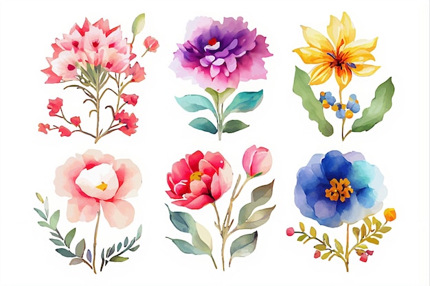 Vetor coleção de flores belo conjunto aquarela de ornamentos de design