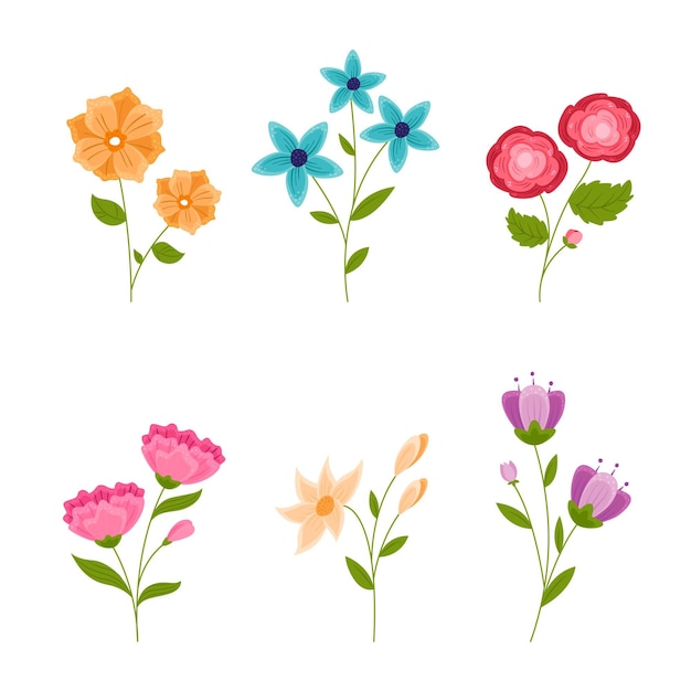 Coleção de flores desenhadas à mão