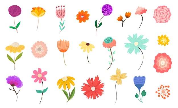Coleção de flores e flores