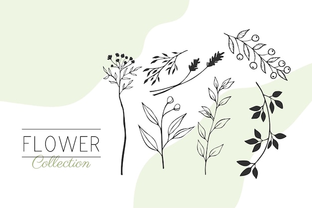 Vetor coleção de flores e plantas de primavera desenhadas à mão ilustrações monocromáticas em estilo de esboço