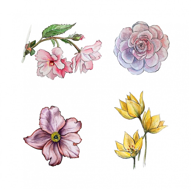 Coleção de flores em aquarela desenhadas à mão