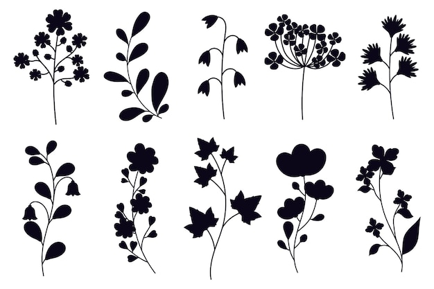 Coleção de flores folhas e galhos silhuetas isoladas em fundo branco