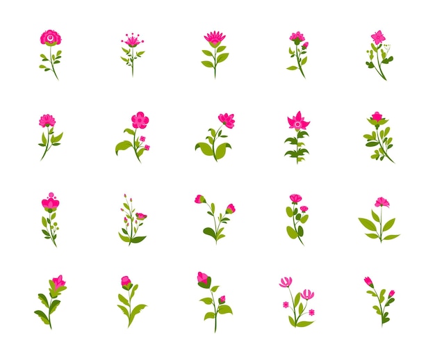 Coleção de flores rosa definir estilo simples de ilustração