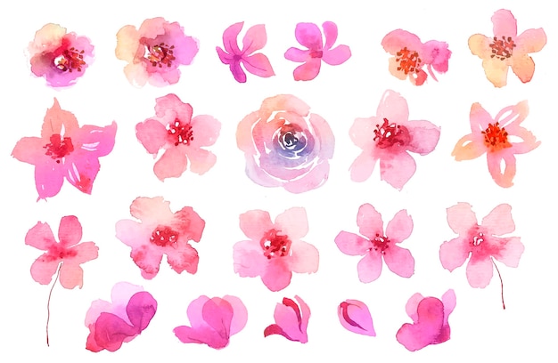 Vetor coleção de flores rosa em aquarela