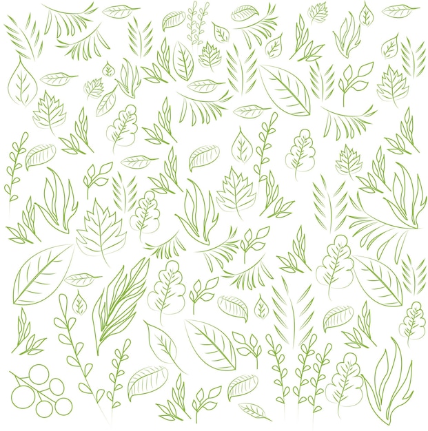 Coleção de folhas verdes tropicais de desenho de linha mão desenhada ilustração vetorial de estoque eps