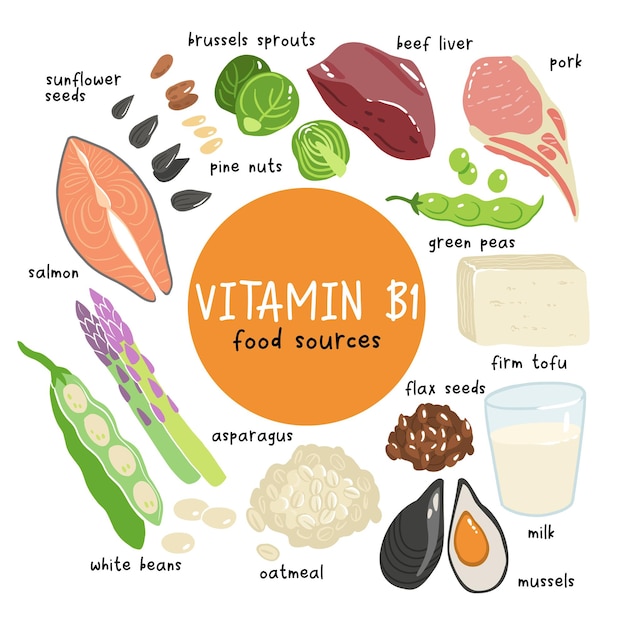 Coleção de fontes de vitamina b1 alimentos contendo tiamina tofu aveia fígado feijão de porco ervilhas mexilhões salmão aspargos sementes de linho couve de bruxelas produtos dietéticos nutrição orgânica