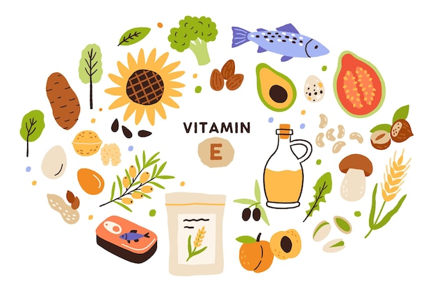 Coleção de fontes de vitamina E. Alimentação balanceada e saudável. Frutas, legumes, nozes, óleo e peixe. Produtos dietéticos, biológicos. Ilustração em vetor plana dos desenhos animados isolada no fundo branco.
