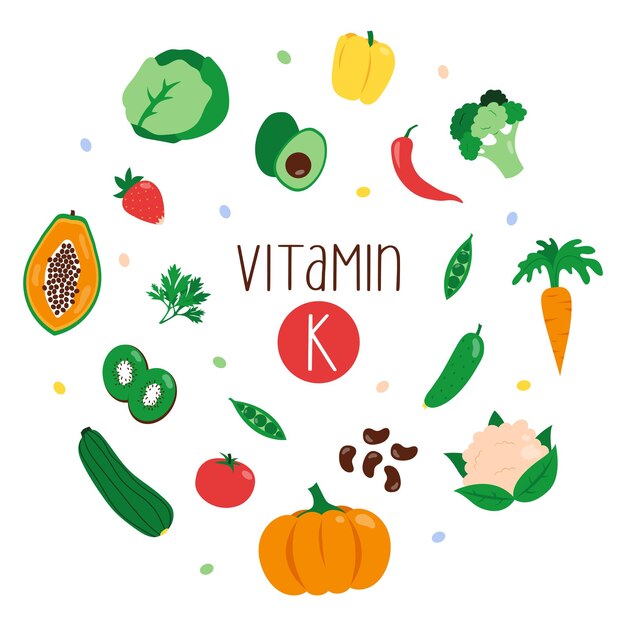 Vetor coleção de fontes de vitamina k produtos dietéticos nutrição orgânica natural