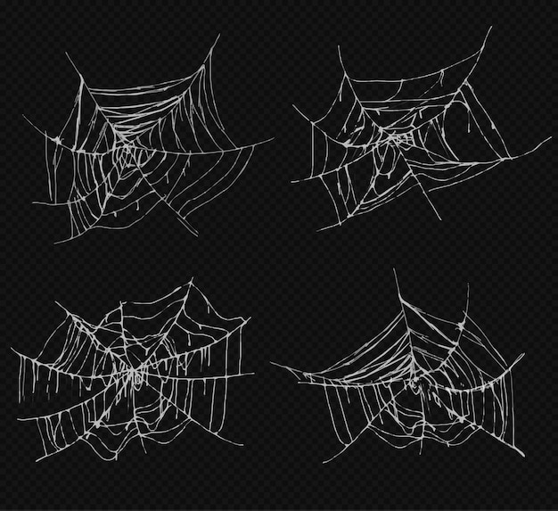 Coleção de formas de teias de aranha