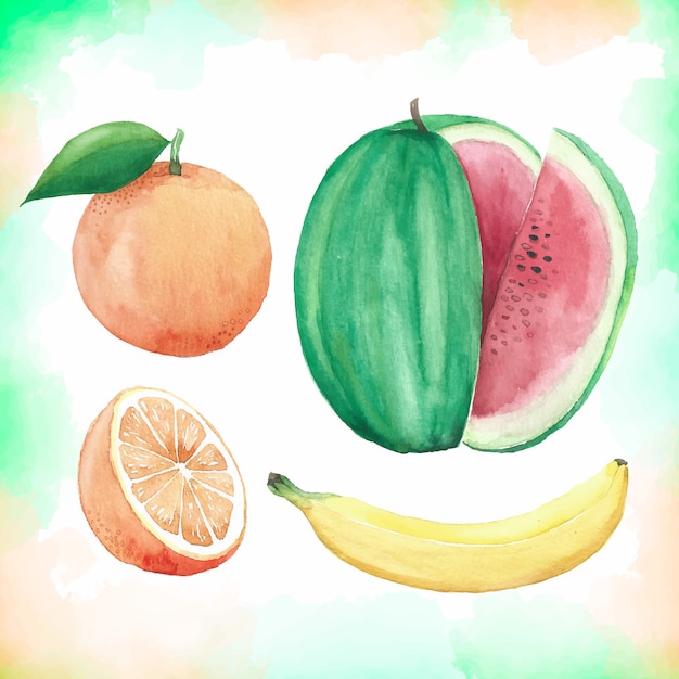 Coleção de frutas aquarela