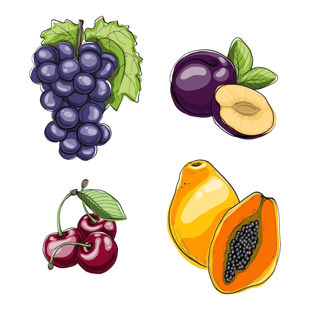 Coleção de frutas desenhada à mão