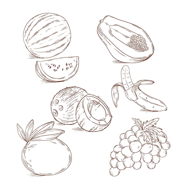 Coleção de frutas desenhadas à mão para gravura