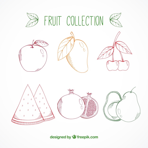 Coleção de frutas desenhadas à mão