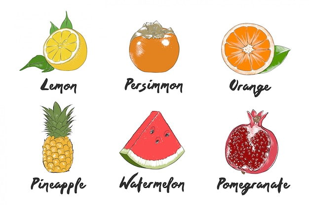 Coleção de frutas orgânicas de estilo gravado vector