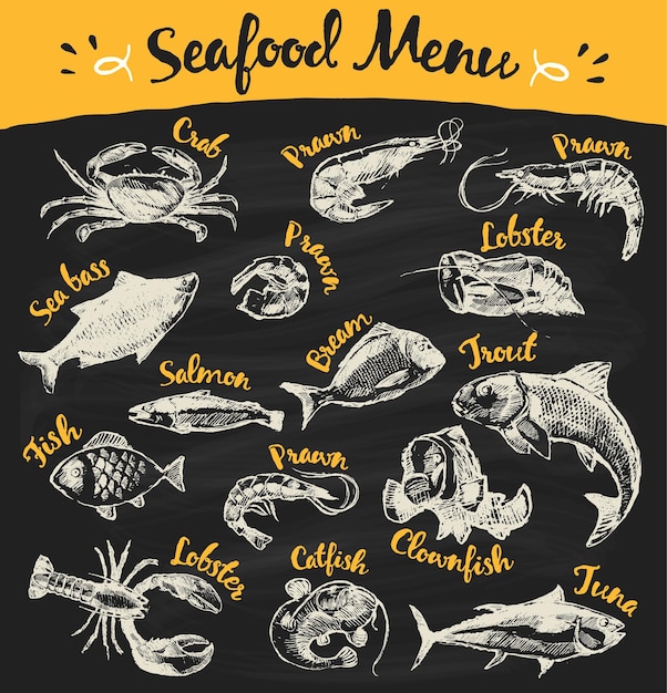 Coleção de frutos do mar e peixes desenhados à mão no quadro-negro, ilustração vetorial, esboço, estilo gravado