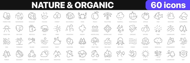 Coleção de ícones de natureza e linha orgânica ícones de animais de frutas florestais do tempo conjunto de ícones de interface do usuário pacote de ícones de contorno fino ilustração vetorial eps10