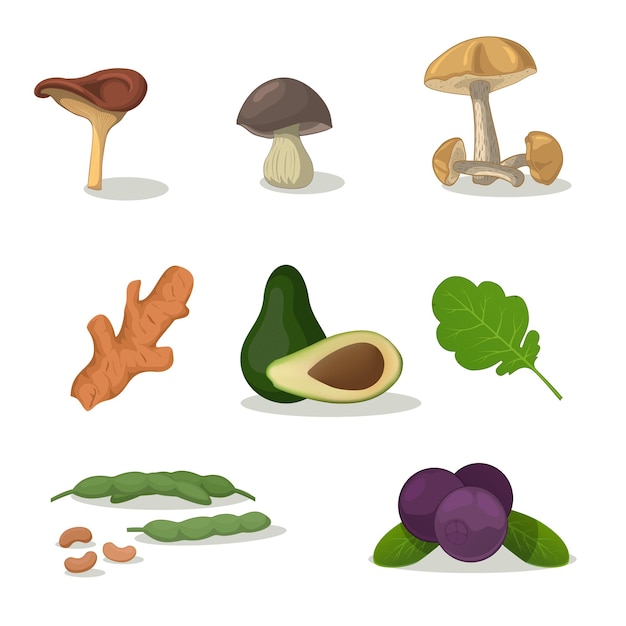 Coleção de ícones de vegetais - ilustração vetorial colorida isolada no conjunto branco