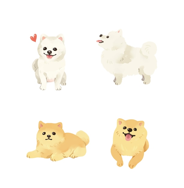 Coleção de ilustração de cães da pomerânia