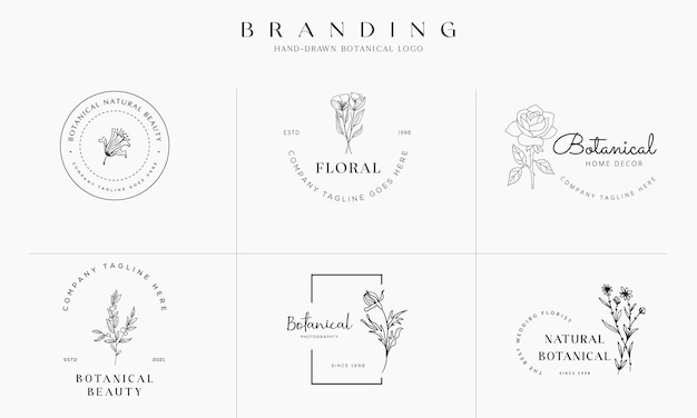 Vetor coleção de ilustração de logotipo botânico floral desenhada à mão para beleza orgânica natural vetor premium