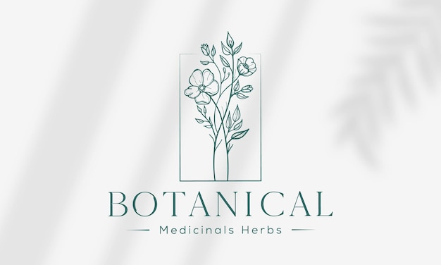 Coleção de ilustração de pacote de logotipo botânico floral desenhado à mão para beleza orgânica natural premium