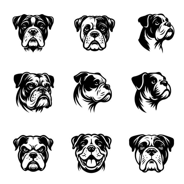Vetor coleção de ilustração vetorial de rosto de cão bulldog americano design de logotipo de cão buldog americano