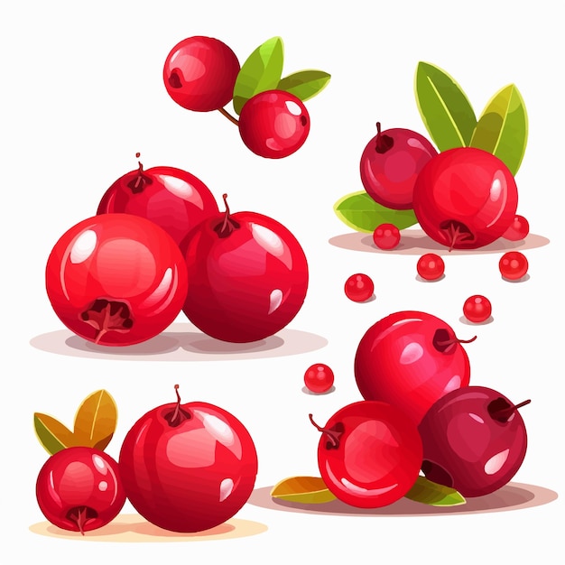 Vetor coleção de ilustrações de cranberry com temas natalinos