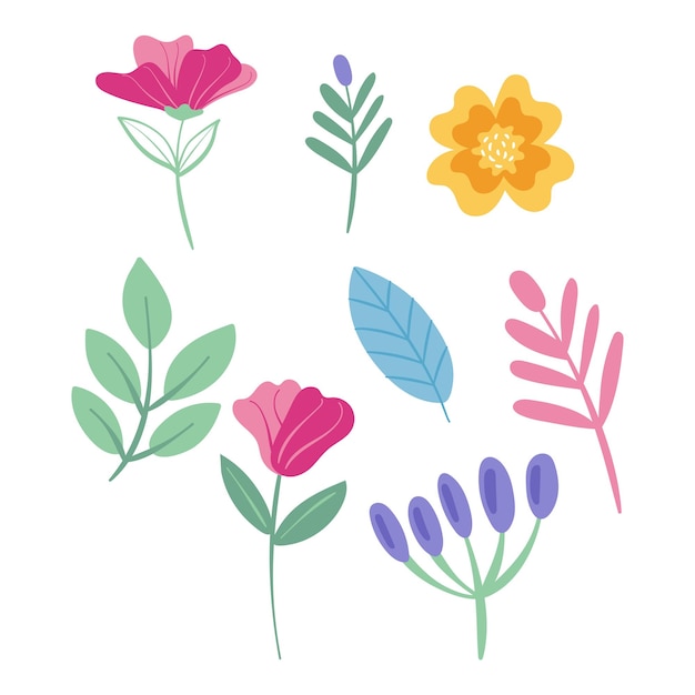 Coleção de ilustrações de flores e folhas desenhadas à mão
