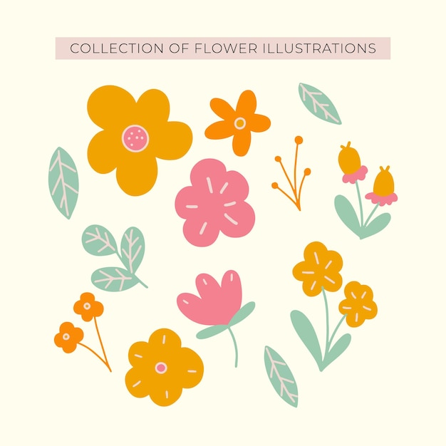Coleção de ilustrações de flores