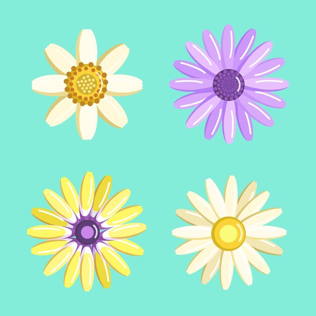 Coleção de ilustrações de várias flores