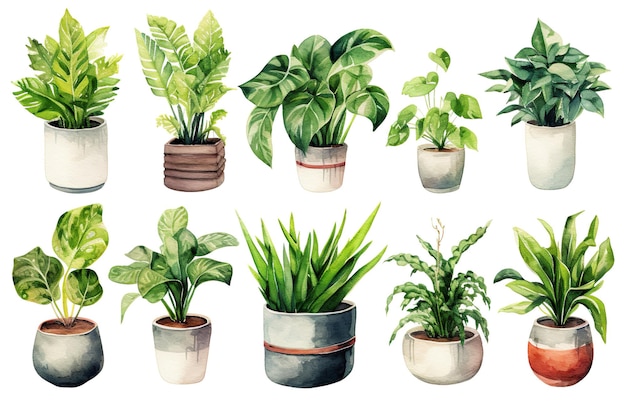 Coleção de Ilustrações de Vasos de Plantas