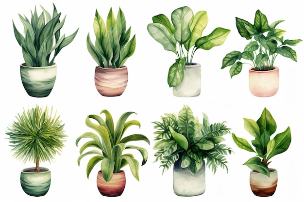 Coleção de Ilustrações de Vasos de Plantas