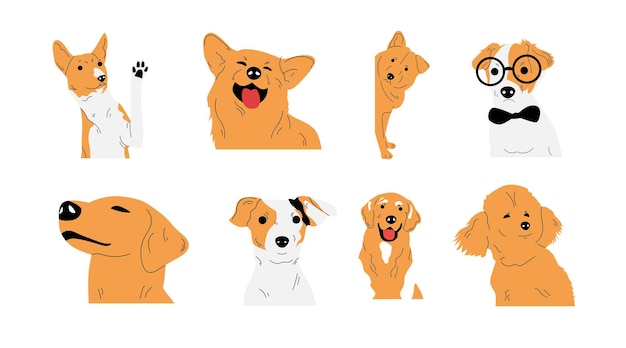 Vetor coleção de ilustrações vetoriais de animais cães