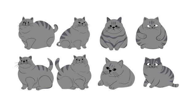 Coleção de ilustrações vetoriais de gatos gordos bonitos