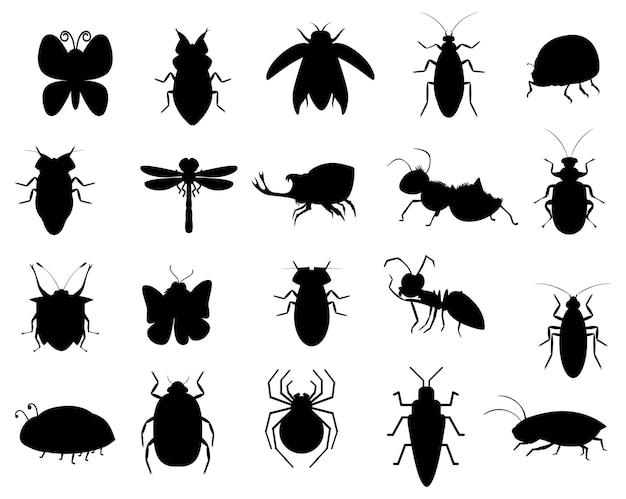 Coleção de insetos animais isolados planas silhuetas vetoriais