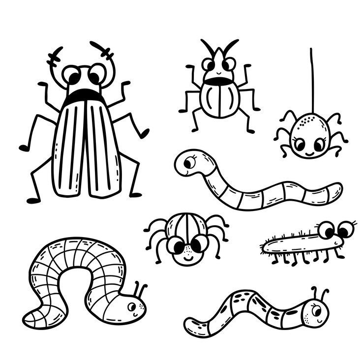 Vetor coleção de insetos fofos besouros aranhas e vermes desenho linear à mão ilustração vetorial