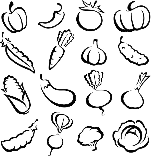 Coleção de legumes conjunto ilustração vetorial