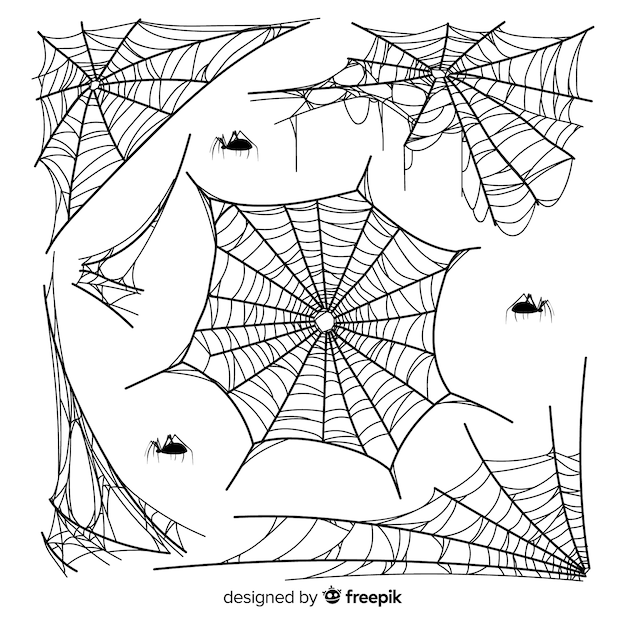 Coleção de mão desenhada teia de aranha