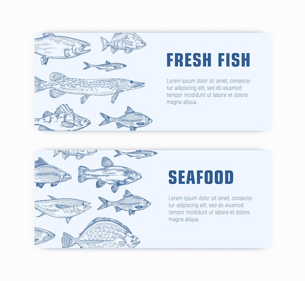 Coleção de modelos de banner web monocromático com peixes desenhados à mão com linhas de contorno