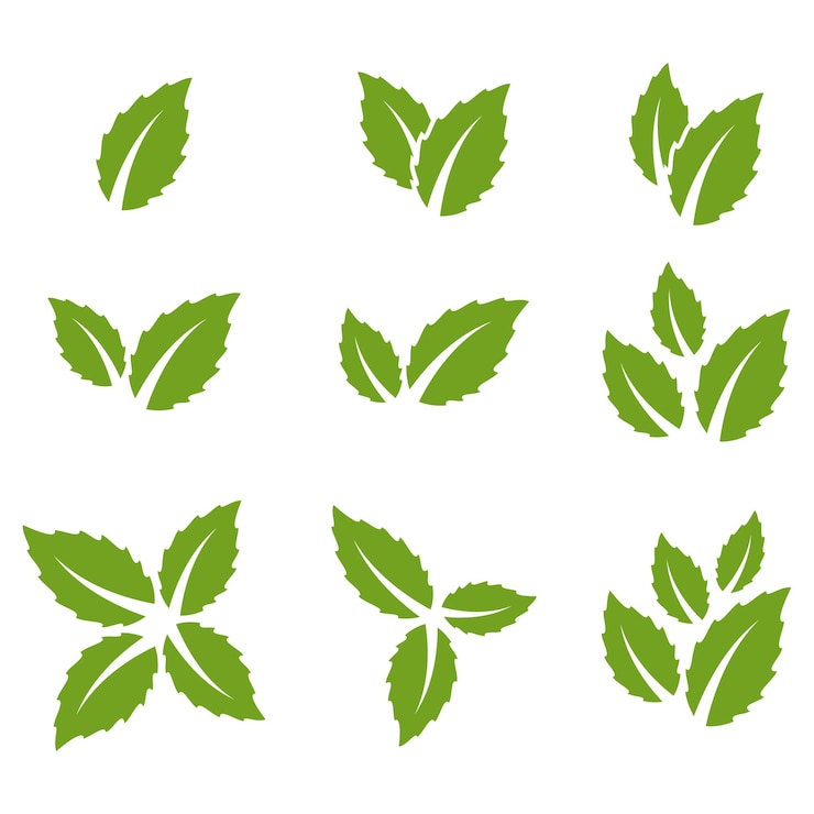 Vetor coleção de modelos de logotipo de folha